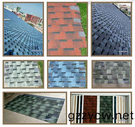 迷綵漸(jian)變型