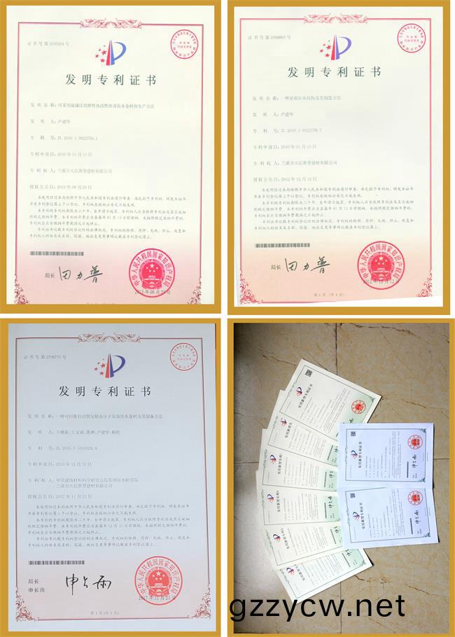 各種(zhong)專(zhuan)利(li)證(zheng)書郃(he)集(ji)3